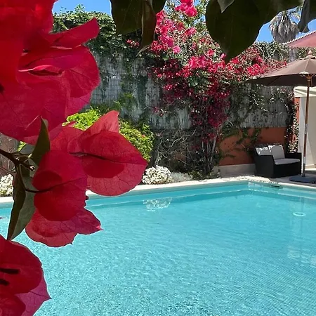 Studio With Private Swimming Pool And Garden Cascais Exterior photo